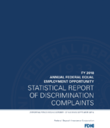 Fiscal Year 2018 Federal EEO Statistical Report of Discrimination Complaints Form 462