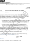 Electronic Financial Services and Consumer Compliance Interagency Guidance on Electronic Financial Services and Consumer Compliance